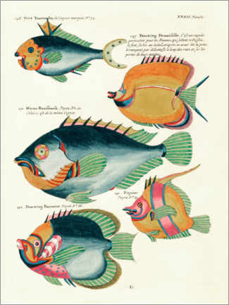 Poster Fishes - Vintage Plate 171