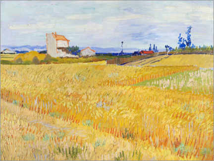 Poster  Cornfield - Vincent van Gogh