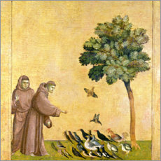 Canvas print  St. Francis of Assisi Preaching to the Birds - Giotto di Bondone