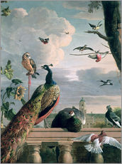 Gallery print  Palace of Amsterdam with Exotic Birds - Melchior de Hondecoeter