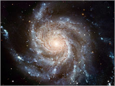 Wall sticker  Spiral galaxy M101 - NASA