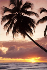 Gallery print  Tropical sunset in Barbados, Caribbean - Angelo Cavalli