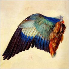 Gallery print  Wing of a blue roller - Albrecht Dürer