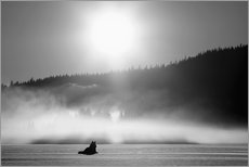 Gallery print  Wolf in the fog - John Hyde
