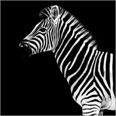 Gallery print  Zebra on black - Philippe HUGONNARD