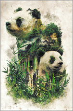 Gallery print  The Giant Panda - Barrett Biggers
