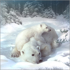 Gallery print  Polar bears - Elena Dudina