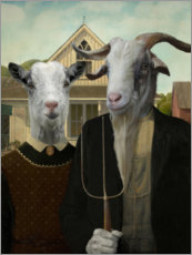 Poster American Goat