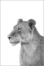 Poster The Lioness