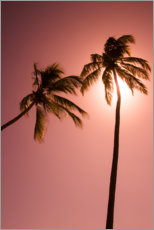 Poster Two palm trees