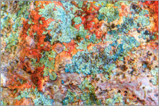 Gallery print  Stone with lichens III - Stuart Westmorland