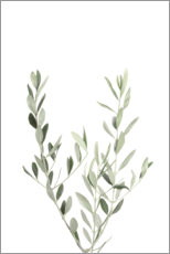 Poster Olive branch