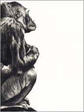 Canvas print  Lady gorilla - Rose Corcoran