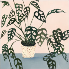 Canvas print  Little Monstera in Point Pot - Victoria Borges
