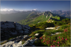 Poster Mountain idyll in the Allgäu Alps