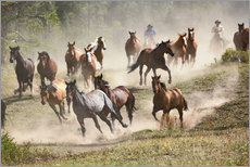 Wall sticker  Wild horses in Montana - Adam Jones