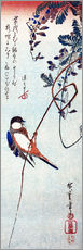 Wall sticker  Swallow sitting on a branch of a wisteria - Utagawa Hiroshige