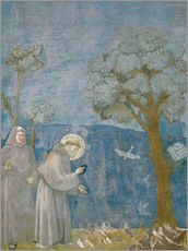 Wall sticker  St.Francis preache sto the birds - Giotto di Bondone