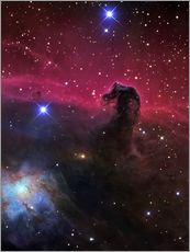 Wall sticker  The Horsehead Nebula II - R Jay GaBany