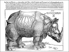 Wall sticker  Rhinoceros - Albrecht Dürer