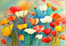 Gallery print  Colorful poppies - siegfried2838