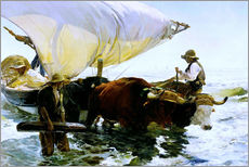 Wall sticker  Oxen pulling a fishing boat - Joaquín Sorolla y Bastida