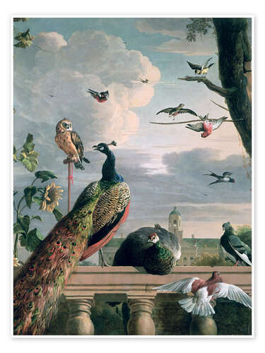 Poster Palace of Amsterdam with Exotic Birds