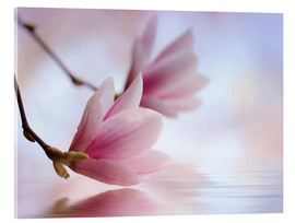 Acrylic print  Magnolia blossoms by the water - Atteloi