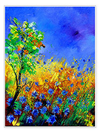 Poster Field of cornflowers III