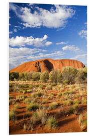 Foam board print  Uluru in the outback - David Wall