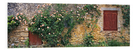 Foam board print  Climbing roses on old stone wall - Ric Ergenbright