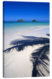 Canvas print  Palm shadow on Lanikai Beach - Douglas Peebles