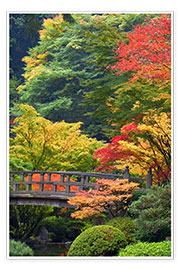 Poster Bridge in the Japanese garden