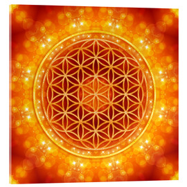 Acrylic print  Flower of life - golden age - Dolphins DreamDesign