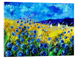 Acrylic print  Cornflowers field - Pol Ledent