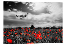 Acrylic print  Spitfire poppy pass - airpowerart