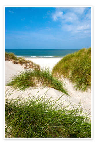 Poster Seascape with dunes and beach grass