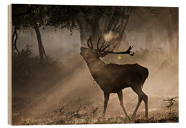 Wood print  Deer in the forest - Alex Saberi