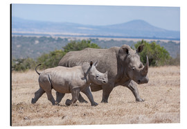 Aluminium print  White rhino with baby - Ingo Gerlach