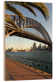 Wood print  Sydney Harbor Bridge - David Wall