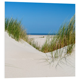 Foam board print  the coastline of the german sea on the island Norderney (Germany) - gn fotografie