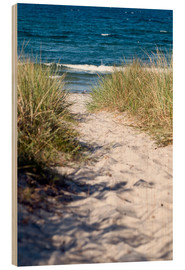 Wood print  White sand dune on the island of Rügen - CAPTAIN SILVA