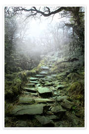 Poster  Mystical stairs - Nadine Conrad