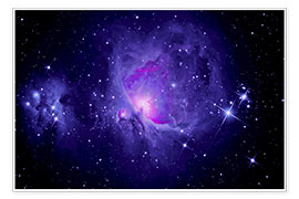 Poster  Orion Nebula M 42 and Running Man Nebula - MonarchC