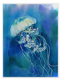 Poster  Jellyfish - Jitka Krause