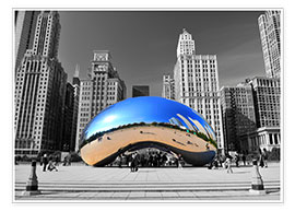 Poster  Chicago Bean - HADYPHOTO