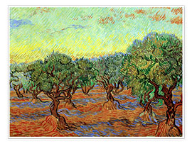 Poster  Olive hain - Vincent van Gogh