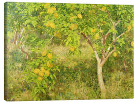 Canvas print  The Lemon Tree - Henry Scott Tuke