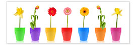 Poster  Spring Flower Parade - Thomas Klee