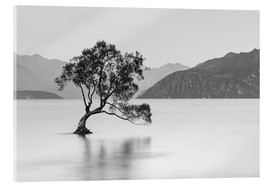 Acrylic print  Lone Tree / black & white - Sebastian Warneke
